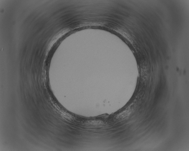 X0000067891119200605041545