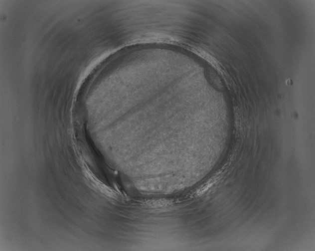 X0000067891120200605041545