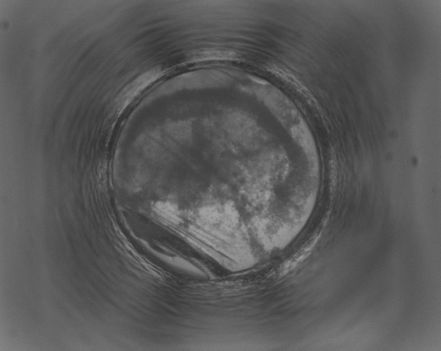 X0000067891121200605041545