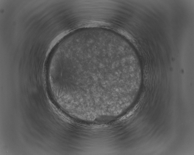 X0000067891122200605041545