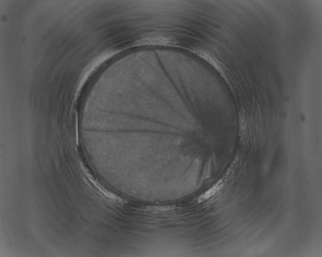 X0000067891123200605041545