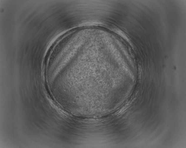 X0000067891124200605041545