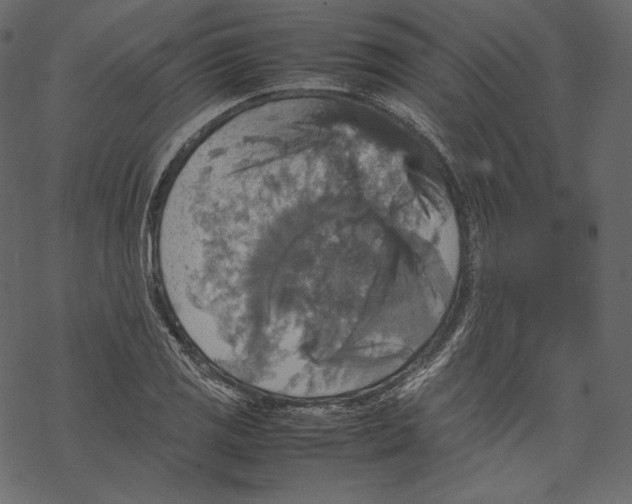 X0000067891125200605041545