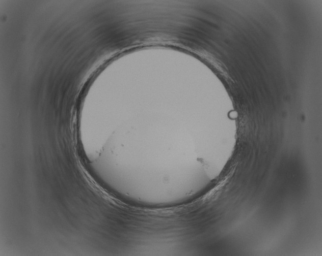 X0000067891126200605041545