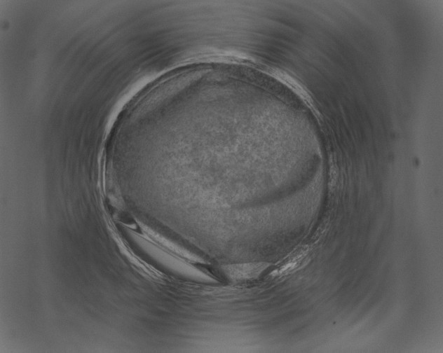 X0000067891128200605041545