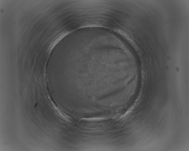 X0000067891129200605041545