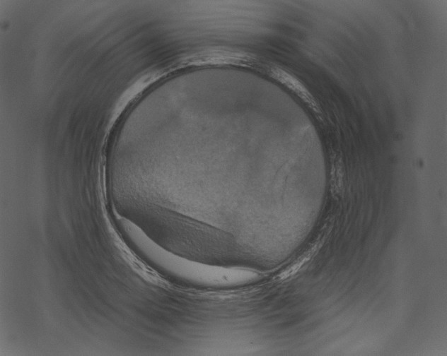 X0000067891130200605041545