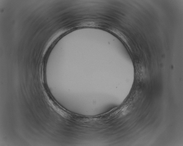 X0000067891131200605041546