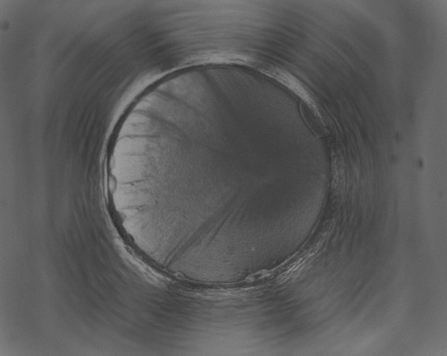 X0000067891132200605041546