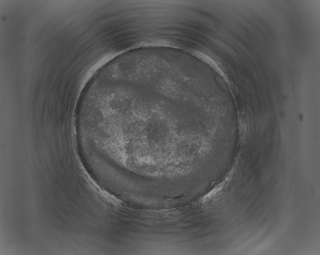 X0000067891133200605041546