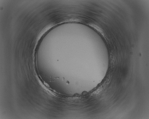 X0000067891135200605041546