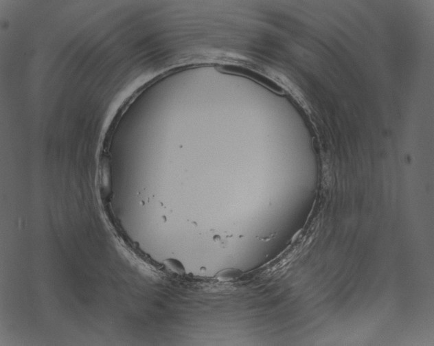 X0000067891136200605041546