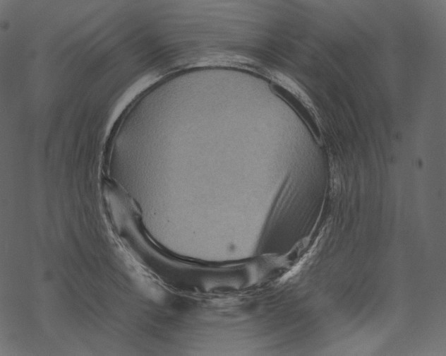 X0000067891138200605041546