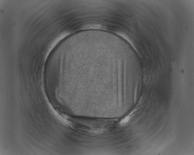 X0000067891139200605041546