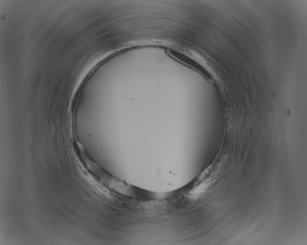 X0000067891140200605041546