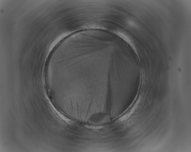 X0000067891141200605041546