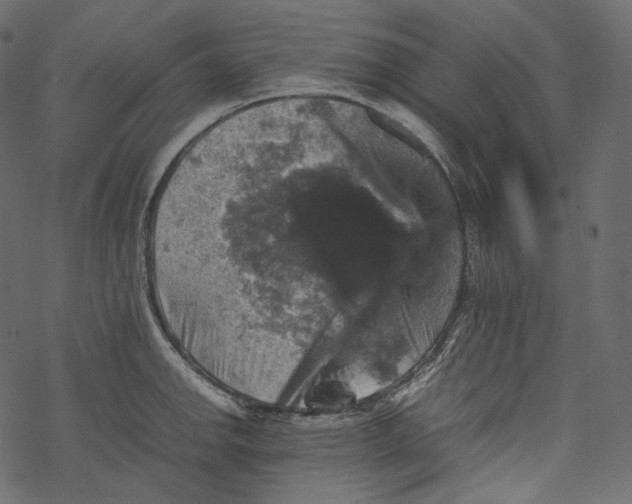 X0000067891142200605041546