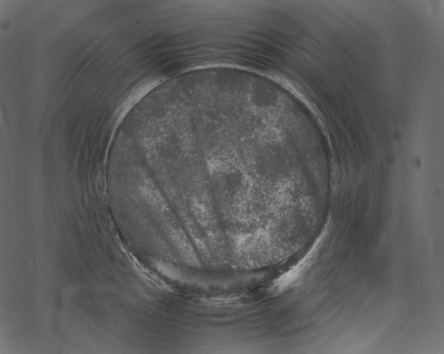 X0000067891145200605041546