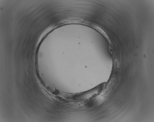 X0000067891146200605041546