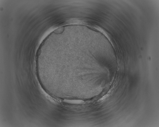 X0000067891147200605041546