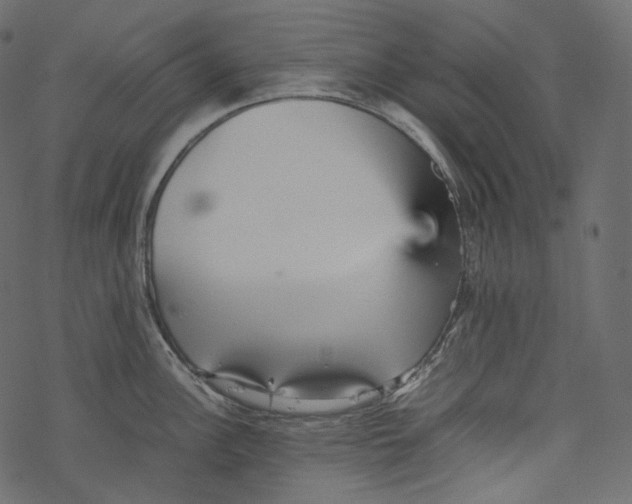 X0000067891148200605041546