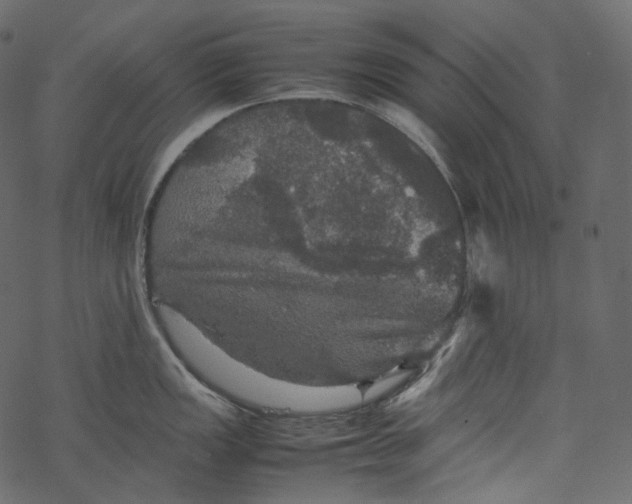 X0000067891149200605041546