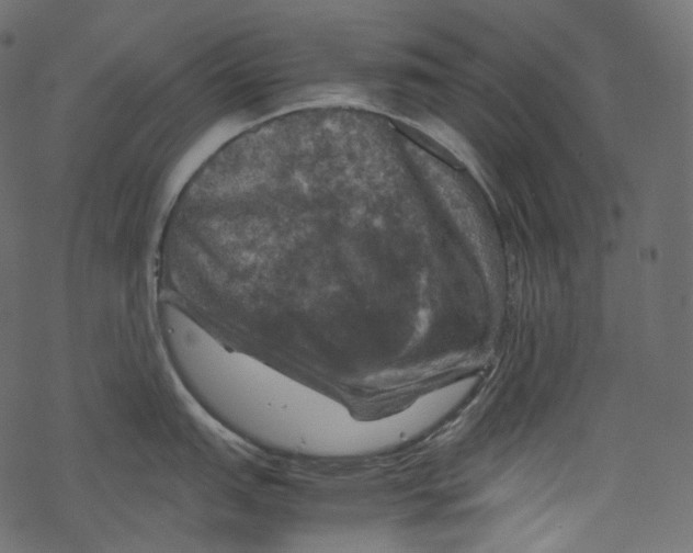 X0000067891151200605041546