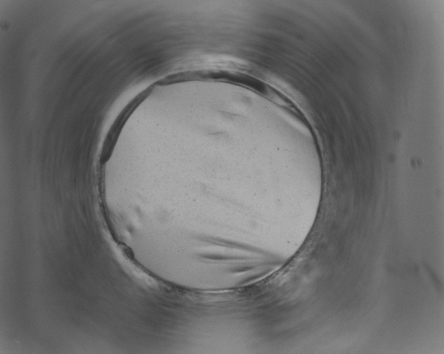 X0000067891152200605041546