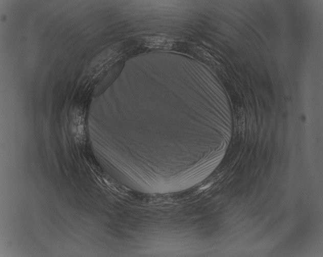 X0000067891154200605041545