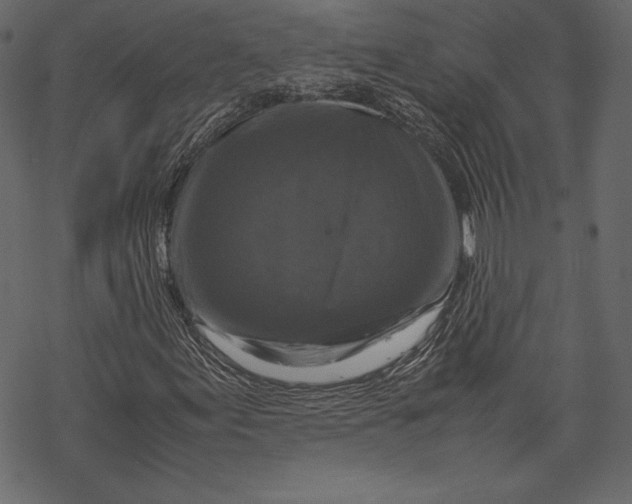 X0000067891155200605041545