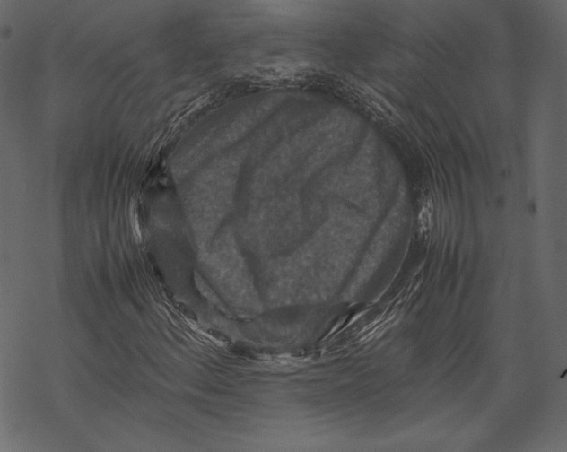 X0000067891156200605041545