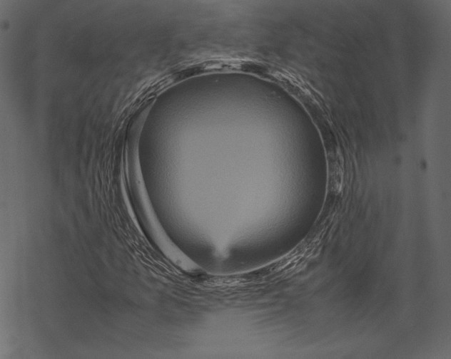 X0000067891157200605041545