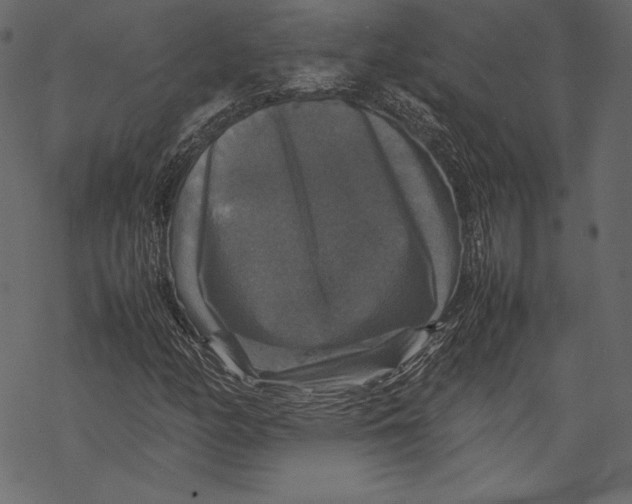 X0000067891158200605041545