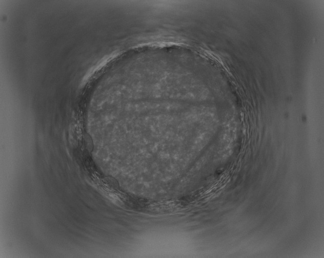 X0000067891159200605041545