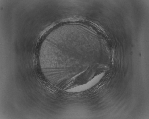 X0000067891160200605041545