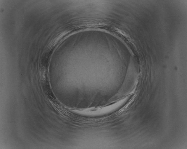 X0000067891161200605041545