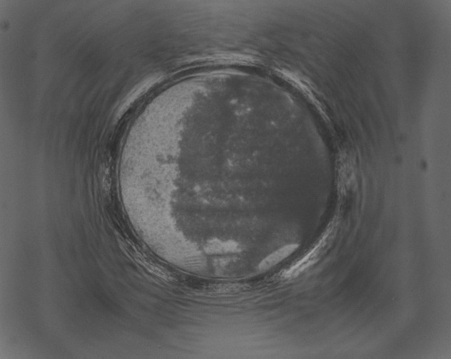 X0000067891163200605041545