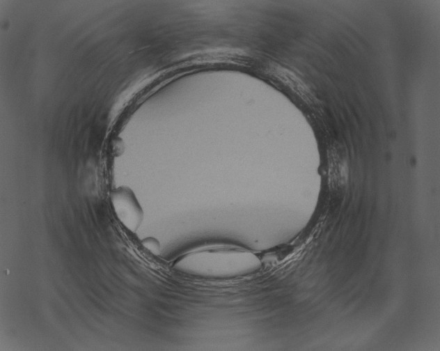 X0000067891164200605041545