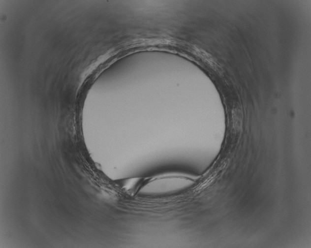 X0000067891165200605041545