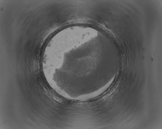 X0000067891166200605041545