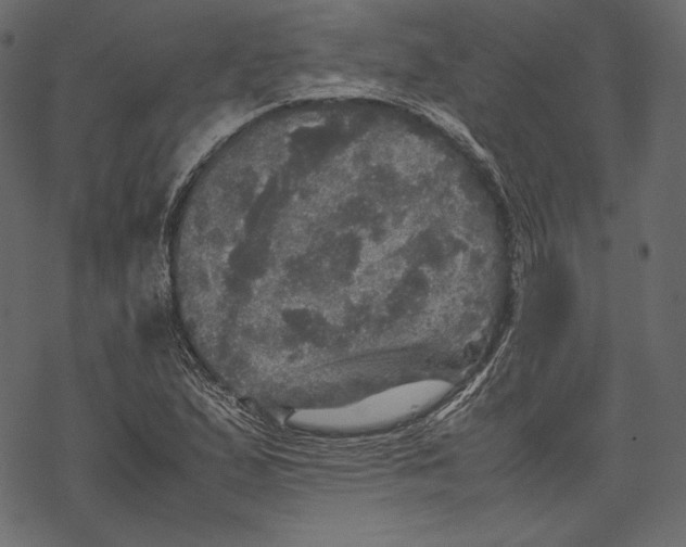 X0000067891167200605041545