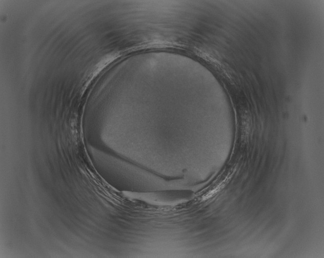 X0000067891170200605041545