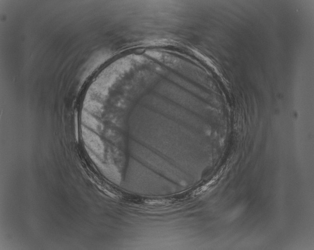 X0000067891171200605041545