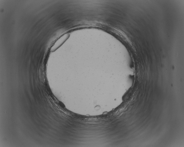 X0000067891172200605041545