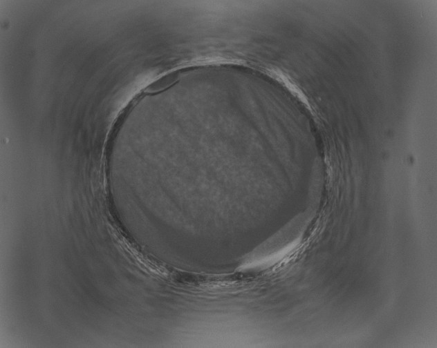 X0000067891173200605041545