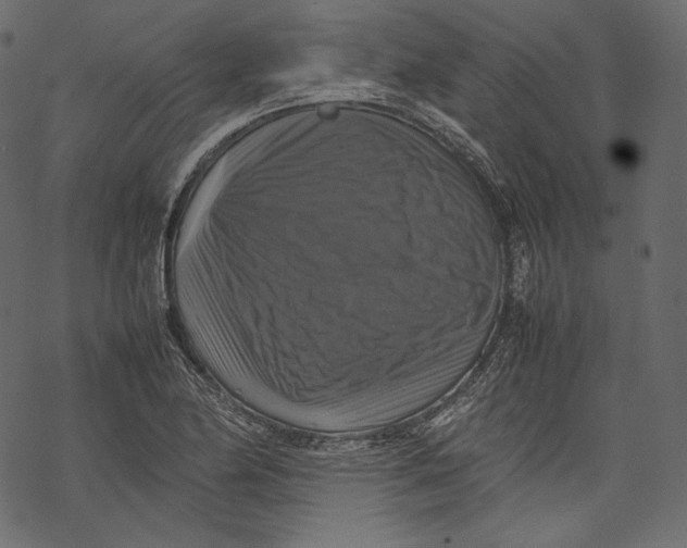 X0000067891174200605041545