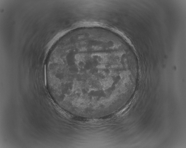 X0000067891175200605041545