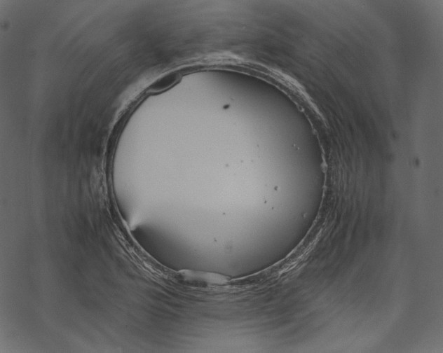 X0000067891176200605041545