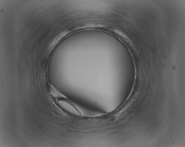 X0000067891177200605041545