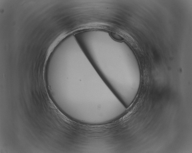 X0000067891180200605041545